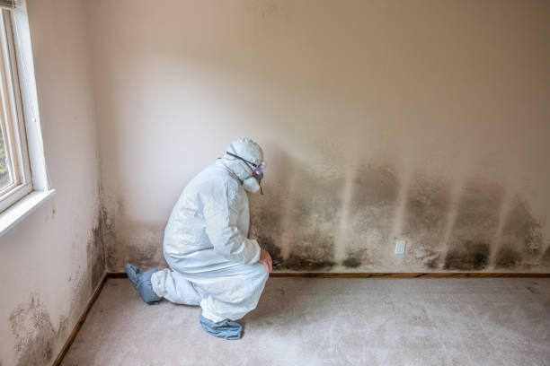 Best Real Estate Mold Inspection  in Garyville, LA